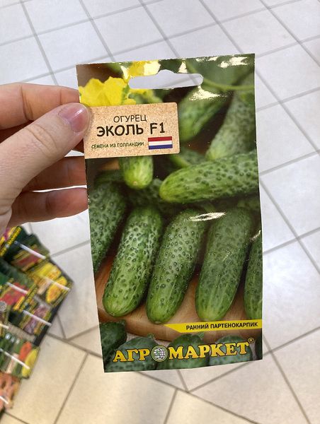 огурец партенокарпический Эколь F1